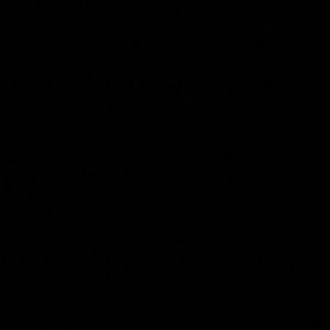 Meet your Posher, Akua